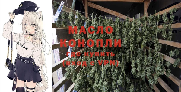шишки Снежногорск