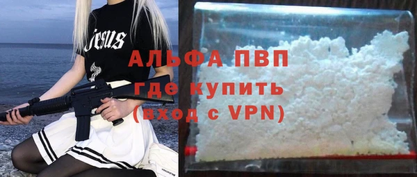шишки Снежногорск